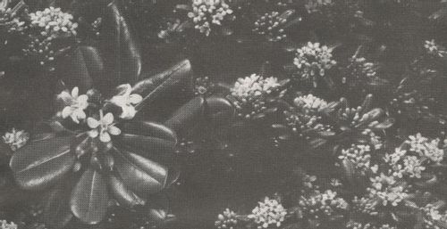 LYL Radio | We're the rest.